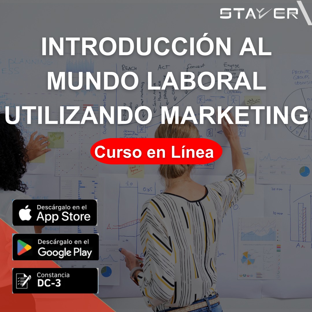 Social Media & Community Manager para Principiantes