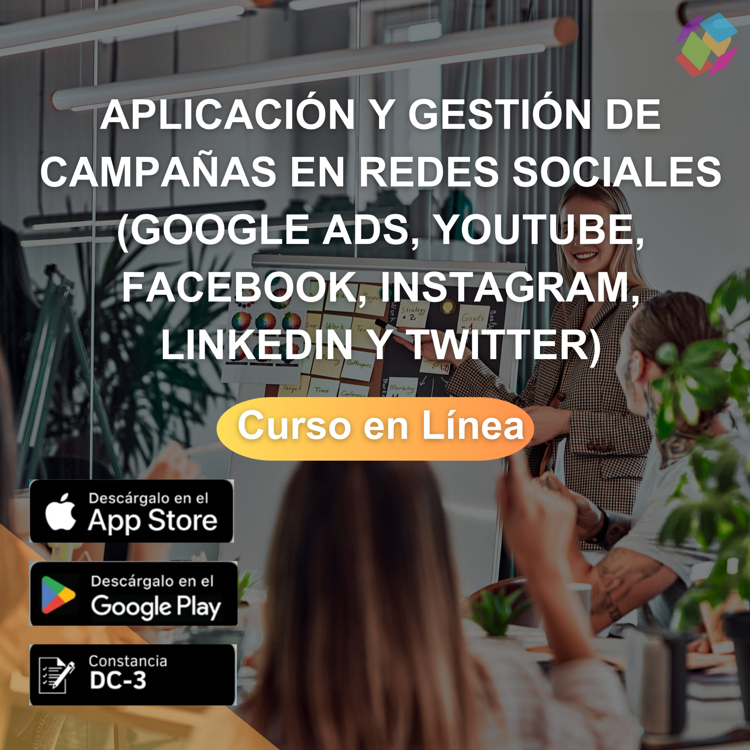 Aplicación y gestión de campañas en redes sociales (Google Ads, YouTube, Facebook, Instagram, LinkedIn y Twitter)