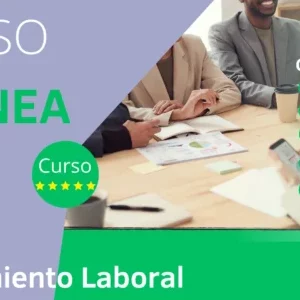 Rendimiento laboral en las Organizaciones