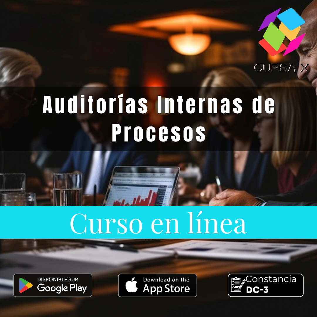 Auditorias Internas de Procesos