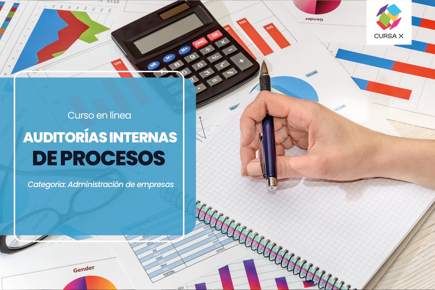 Auditorias Internas de Procesos